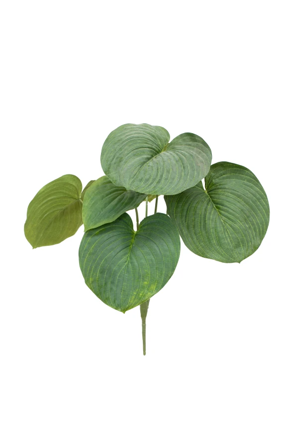 Image of Artificial Hosta - 66cm