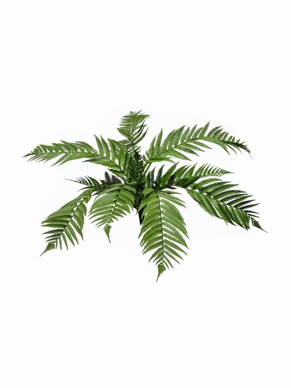 Image of Outdoor Artificial Alsophila Fern - 55cm