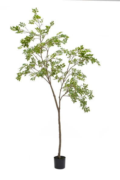 Artificial Elm Tree - 240cm