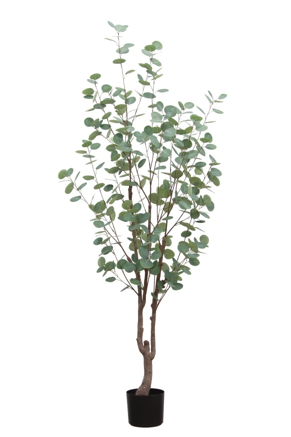 Image of Artificial Eucalyptus Tree - 180cm