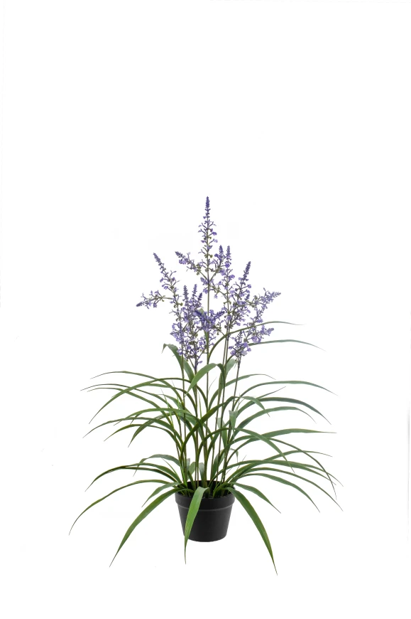 Image of Artificial Lavendar Grass - 95cm