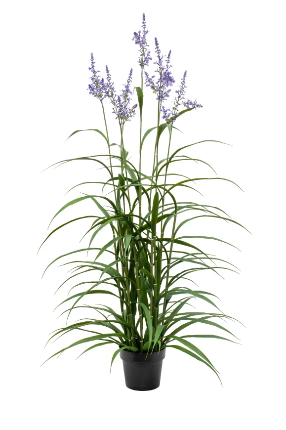 Image of Artificial Lavendar Grass - 148cm