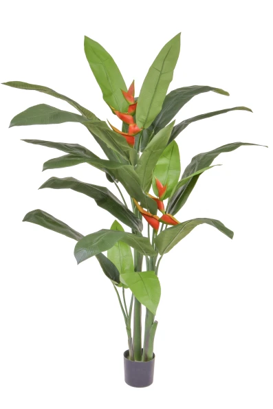 Artificial Heliconia Palm - 170cm