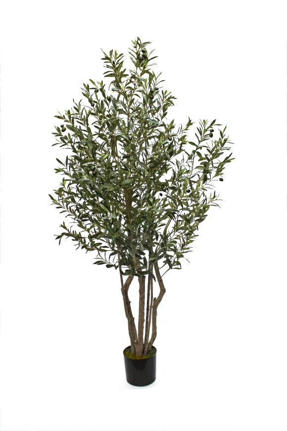 Image of Artificial Olive Tree - 180cm