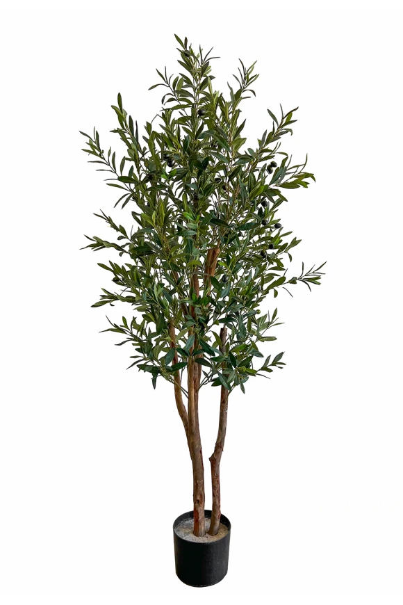 Image of NTT Olive Green 120cm FR-S1