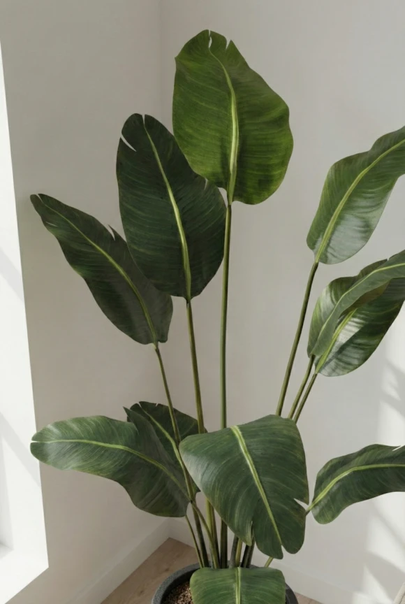 Artificial Bird of Paradise in Black Easington Pot - 180cm