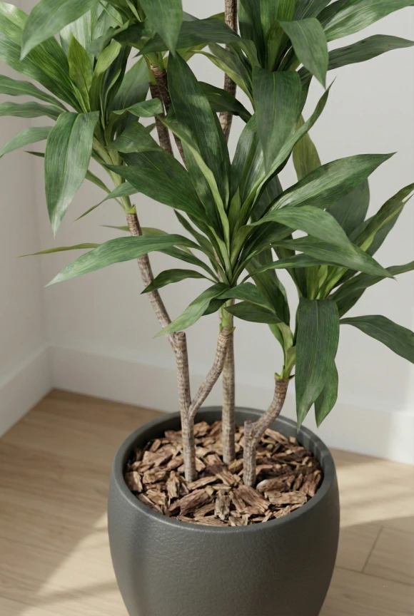 Artificial Cordyline in Black Easington Pot - 150cm