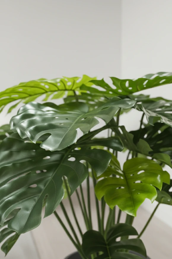 Artificial Monstera in White Easington Pot - 120cm