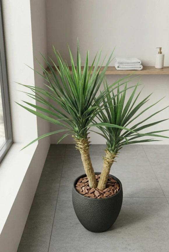 Artificial Yucca in Black Easington Pot - 100cm