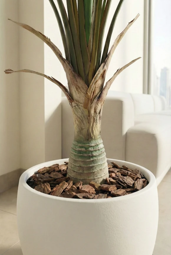 Artificial Traveller Palm in White Easington Pot - 150cm