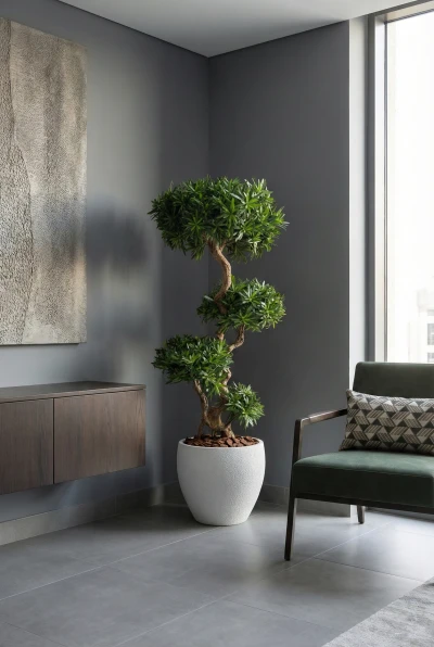 Artificial Podocarpus Cloud in White Easington Pot - 150cm