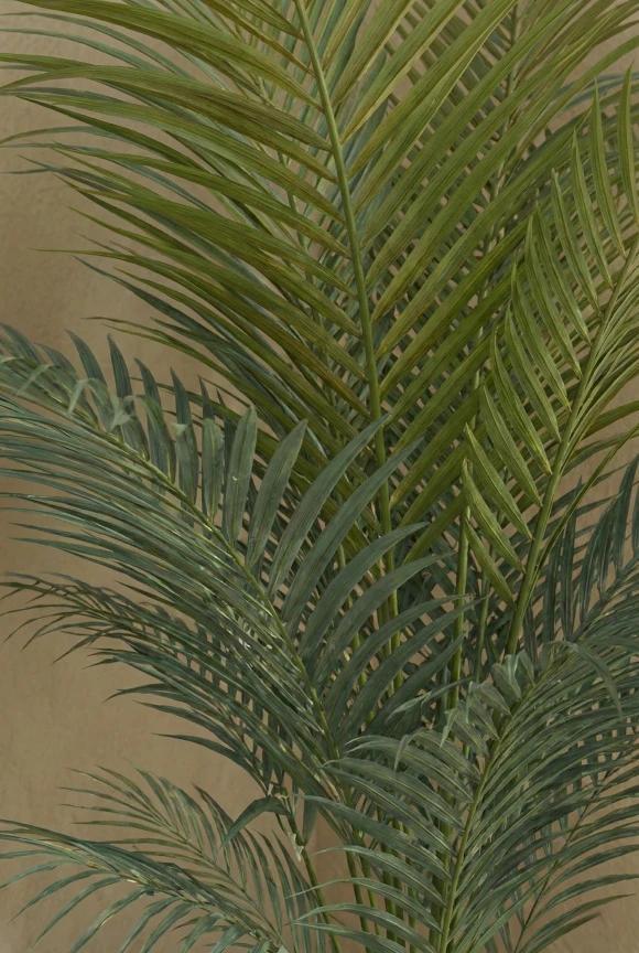 Artificial Areca Palm in Black Easington Pot - 120cm