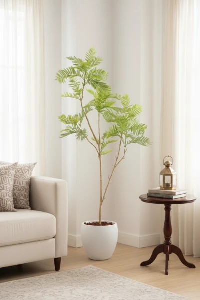 Artificial Jacaranda Tree in White Easington Pot - 180cm