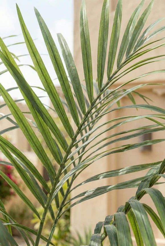 Outdoor Artificial Kentia Palm in Earle Dumpy Pot - 230cm