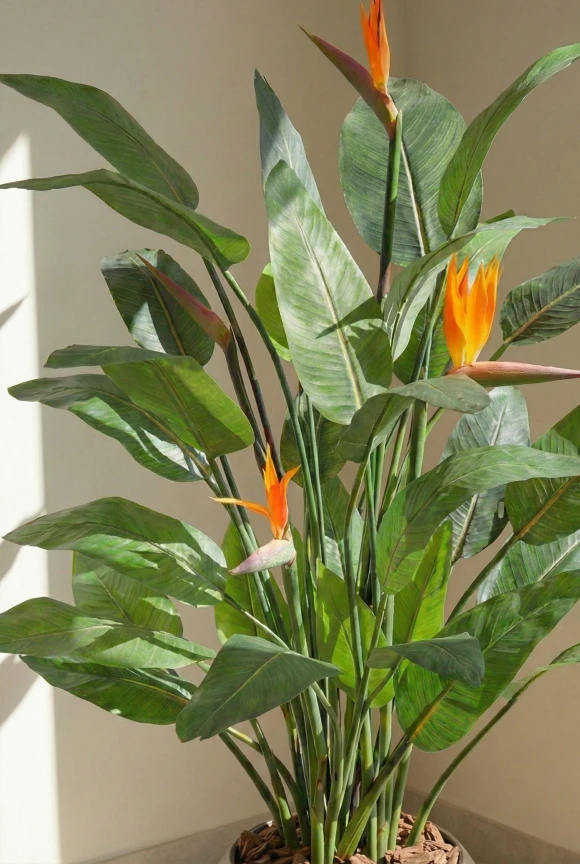 Artificial Flowering Bird of Paradise in Mocha Earle Dumpy Pot - 120cm