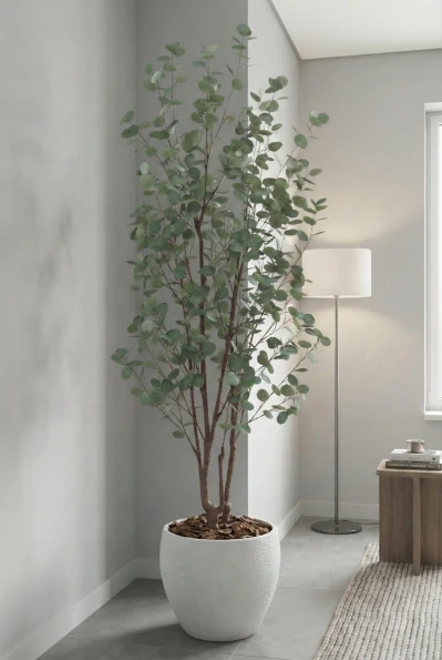 Artificial Eucalyptus Tree in White Easington Pot - 240cm
