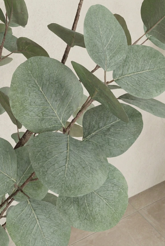 Artificial Eucalyptus Tree in Black Easington Pot - 180cm