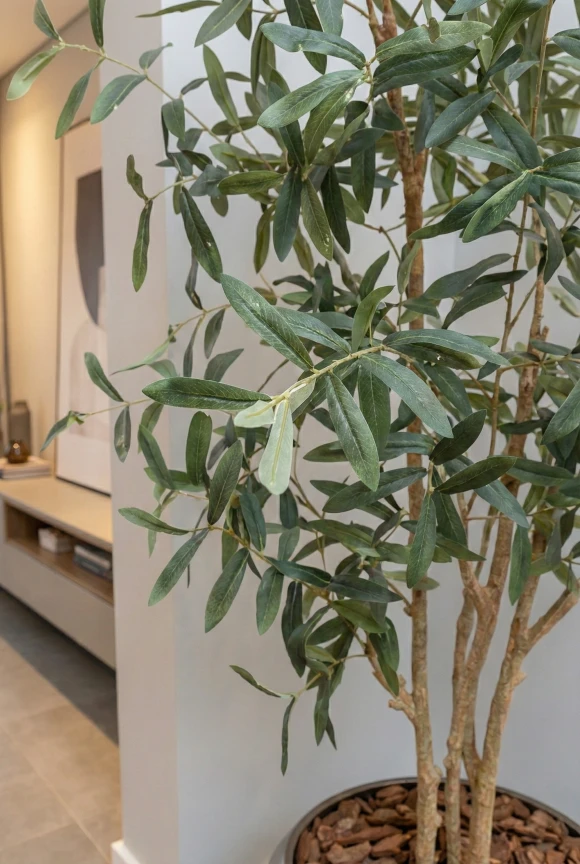 Artificial Olive Tree in Slate Earle Dumpy Pot - 210cm