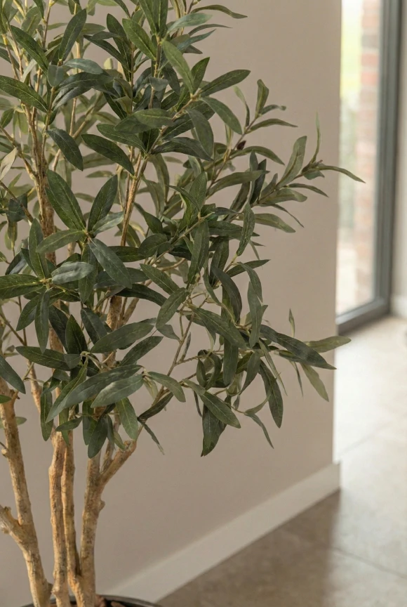 Artificial Olive Tree in Mocha Earle Dumpy Pot - 210cm