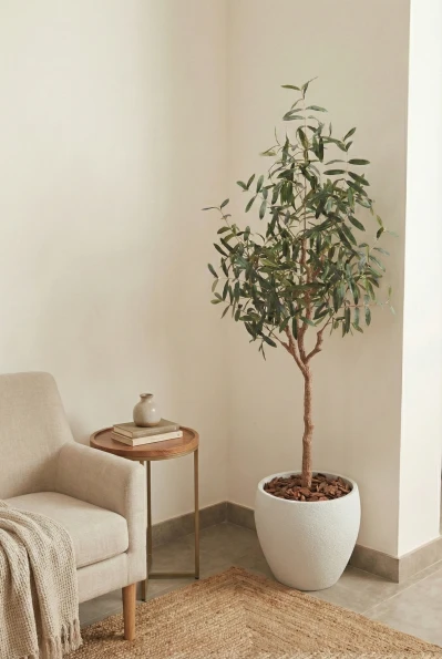 Artificial Olive Tree in White Easington Pot - 180cm