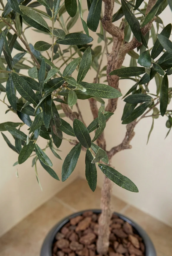 Artificial Olive Tree in Slate Earle Dumpy Pot - 180cm