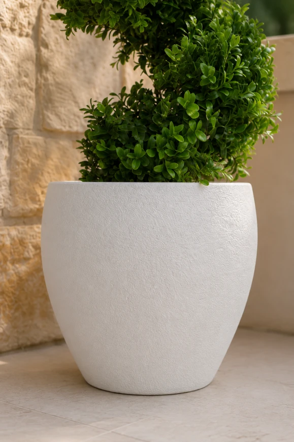 Artificial Buxus Spiral in White Easington Pot - 90cm