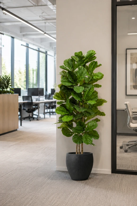 Image of Artificial Fiddle Tree in Easington Pot - 150cm