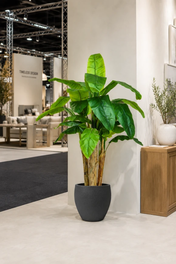 Image of Artificial Banana Tree in Easington Pot - 140cm