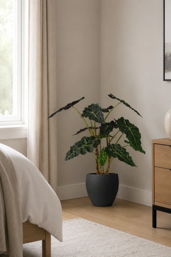 Image of Artificial Alocasia in Easington Pot - 80cm