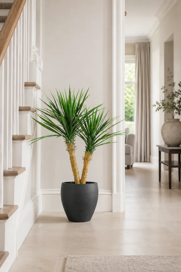 Image of Artificial Yucca in Easington Pot - 100cm