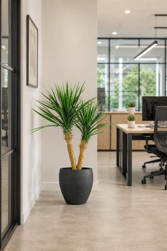 Image of Artificial Yucca in Easington Pot - 100cm