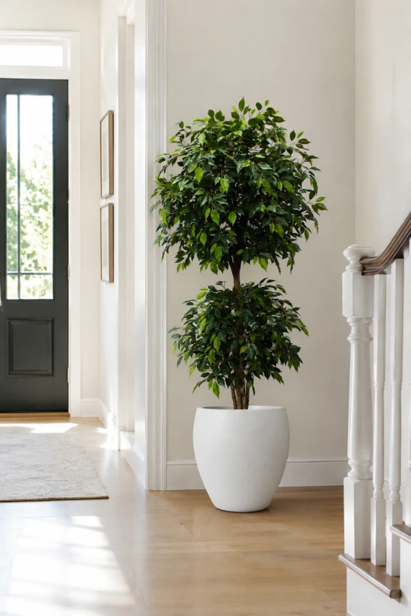 Image of Artificial Ficus Liana in Easington Pot - 185cm