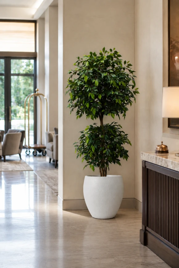Image of Artificial Ficus Liana in Easington Pot - 185cm
