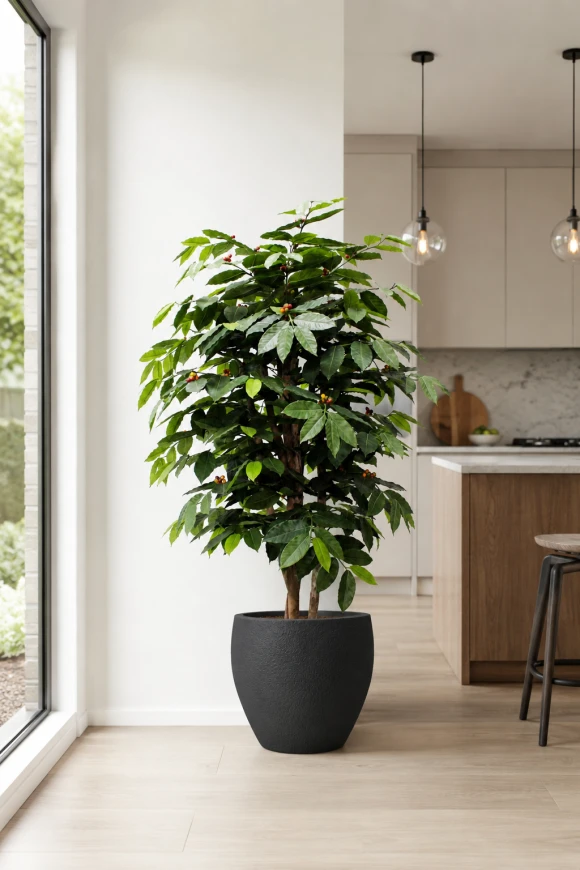 Image of Artificial Coffee Tree in Easington Pot - 150cm