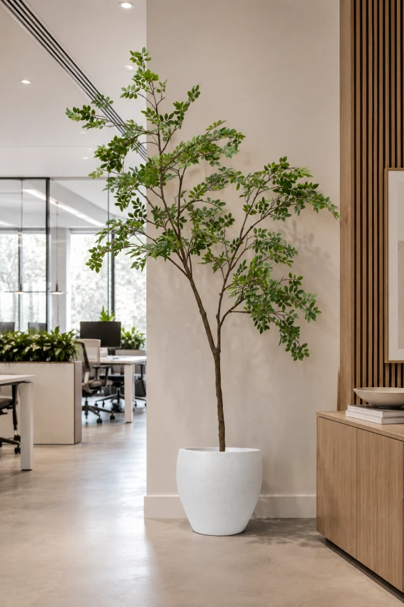 Image of Artificial Elm Tree in Easington Pot - 240cm