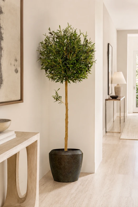 Image of Artificial Olive Ball Tree in Earle Dumpy Pot - 150cm