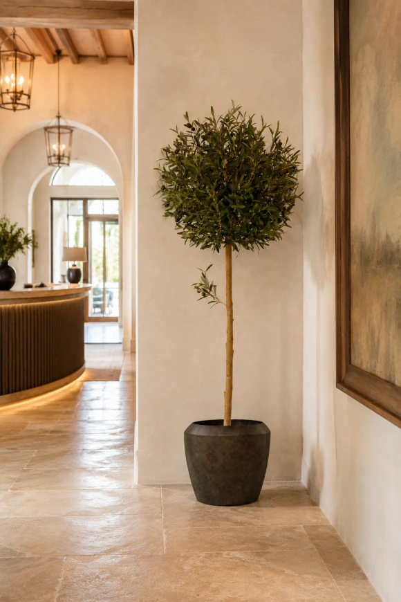 Image of Artificial Olive Ball Tree in Earle Dumpy Pot - 150cm