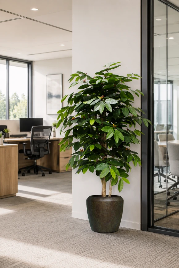 Image of Artificial Coffee Tree in Earle Dumpy Pot - 150cm