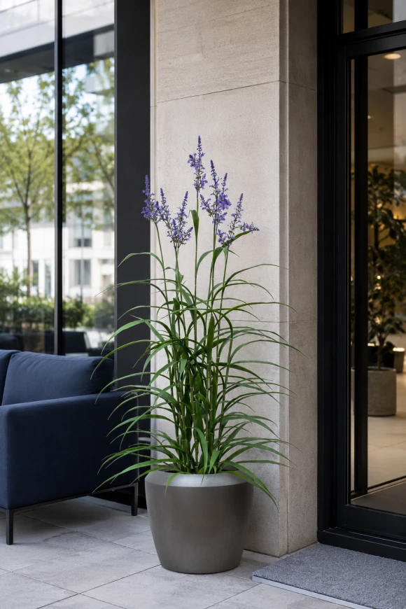 Image of Outdoor Artificial Lavender Grass in Earle Dumpy Pot - 170cm