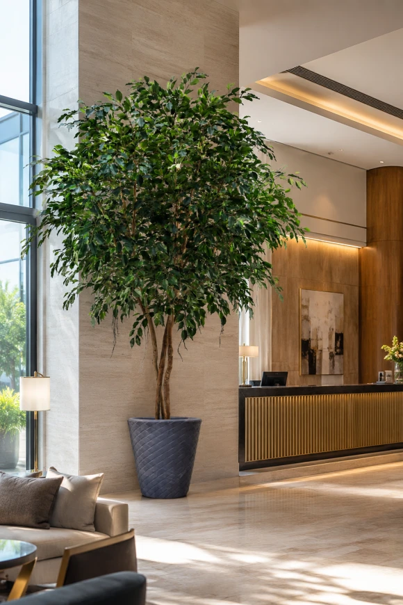 Image of Artificial Ficus Tree on Natural Multi Stems - 400cm