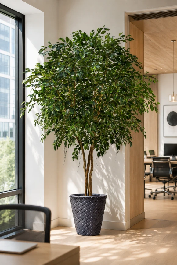 Image of Artificial Ficus Tree on Natural Multi Stems - 400cm