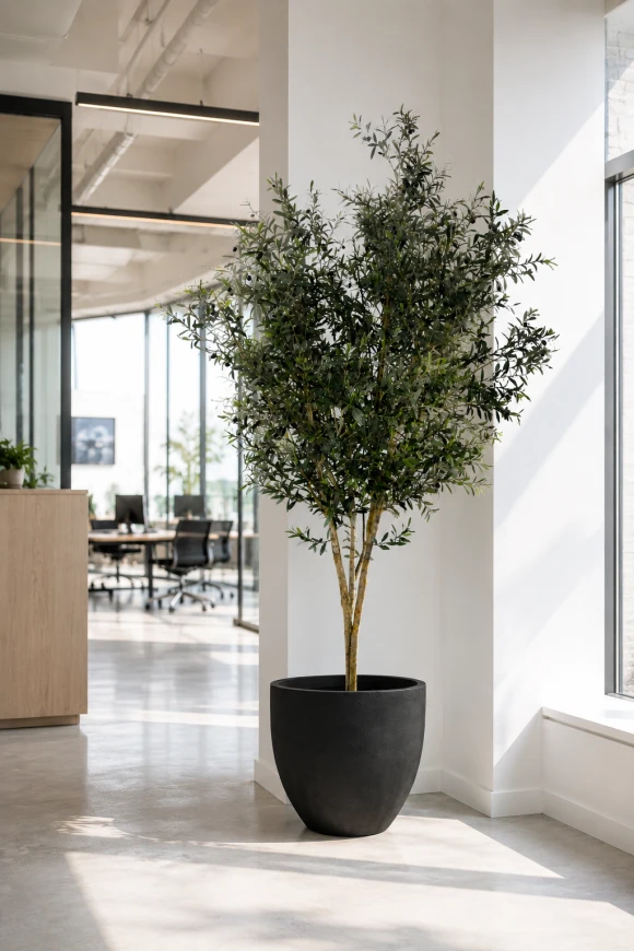 Image of Artificial Olive Tree on Natural Multi Stems - 300cm