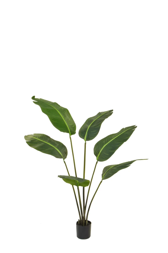 Image of Artificial Traveller Palm - 160cm