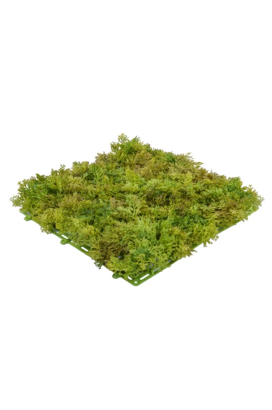 Image of Reindeer Mat, Dark Green - 25cm x 25cm