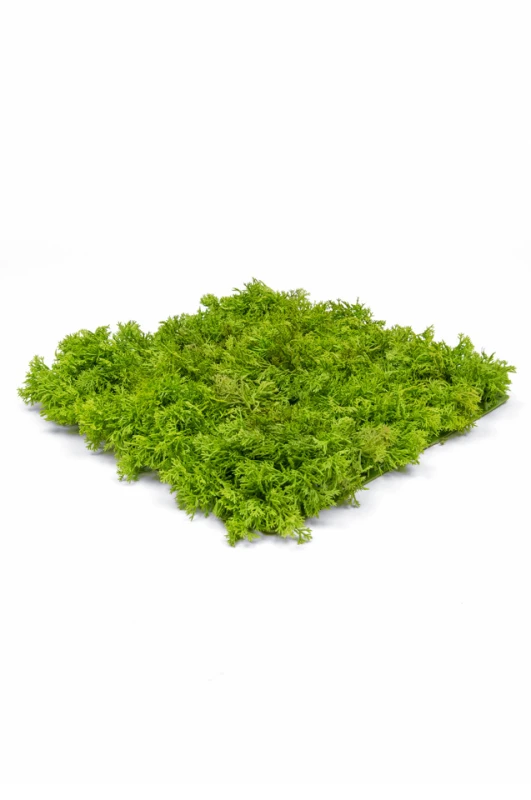 Image of Reindeer Mat, Green - 25cm x 25cm