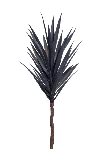 Image of Yucca Stem - 120cm