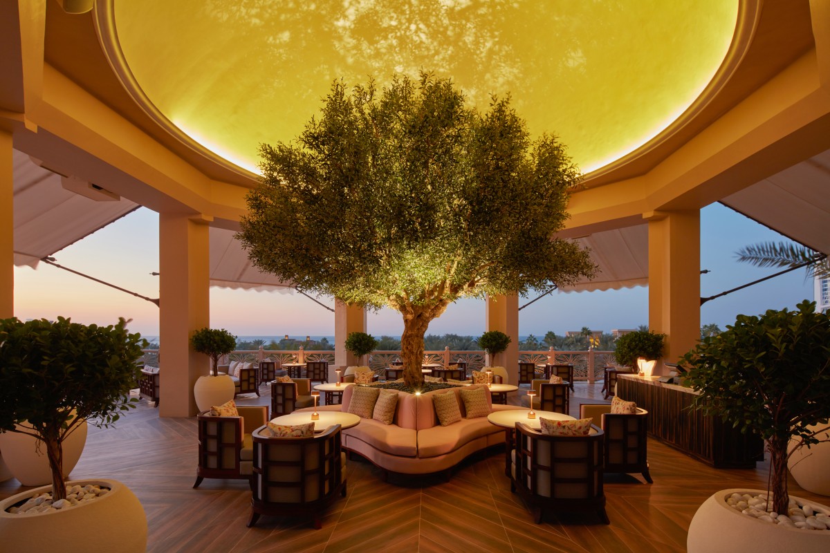 artificial olive tree in a bar setting