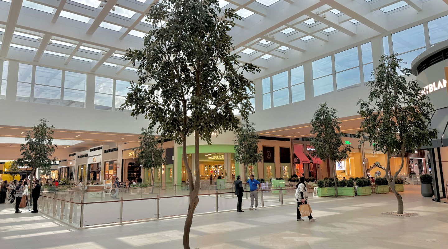 ficus trees in Dubai Hills Mall