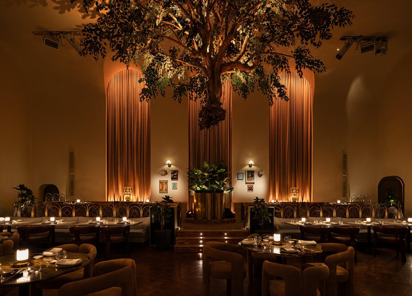 Tree hanging from the ceiling in restaurant