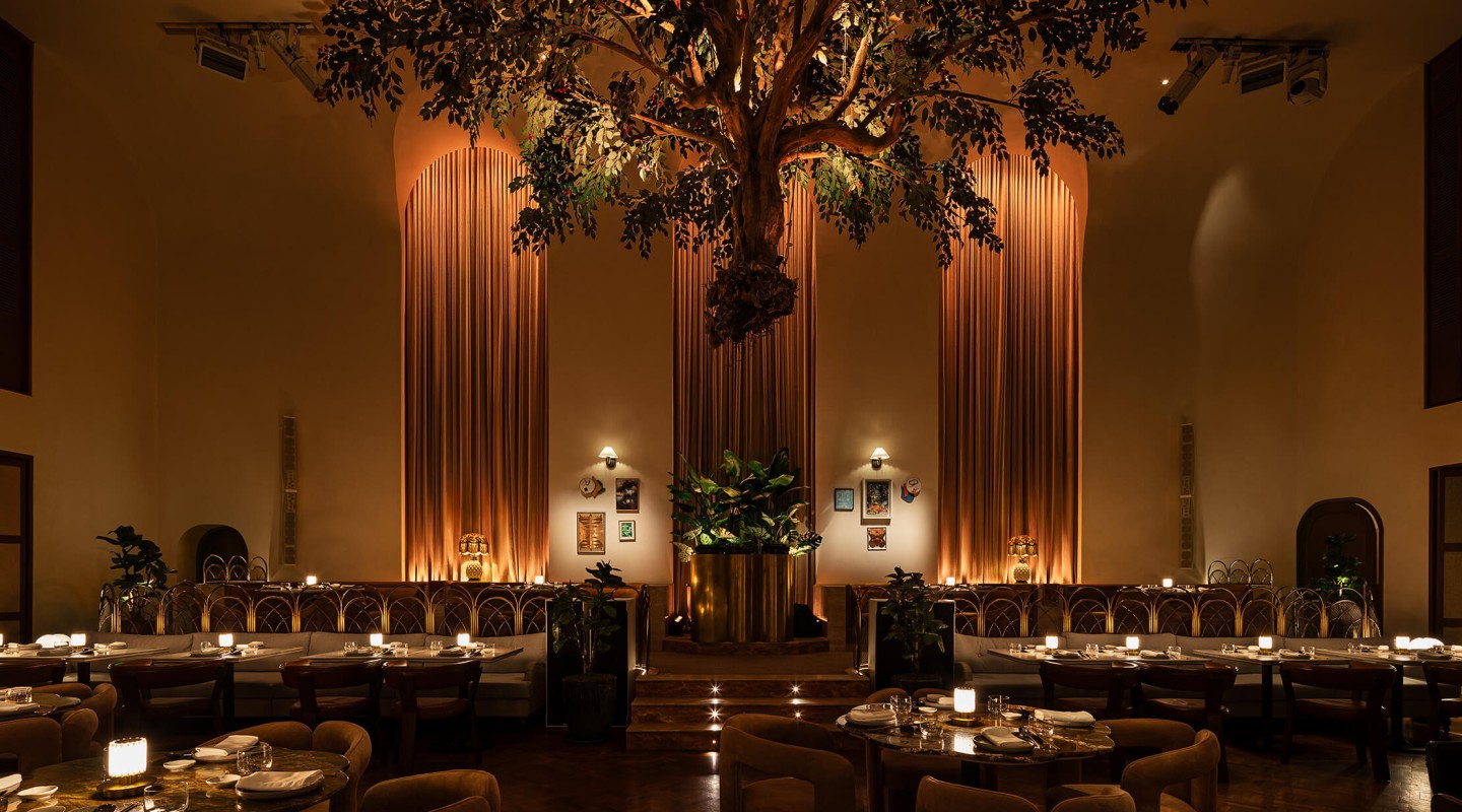 Tree hanging from the ceiling in restaurant